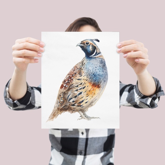 Watercolor Quail Wall Art Print, Unframed - Vibrant Nature-Inspired Home Decor - Picture 4 of 6